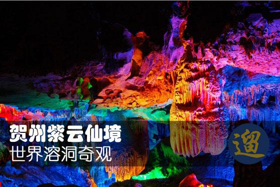 逗小猴开心系列206